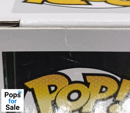 248 Somewhere in Time Eddie - Iron Maiden - Funko POP - Box Damaged