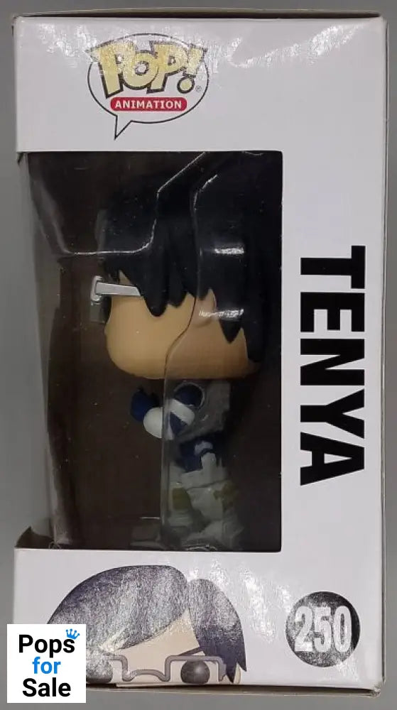 #250 Tenya - My Hero Academia - Box Damaged Funko POP