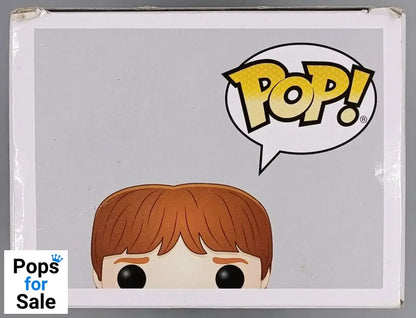 28 Ron Weasley (Sweater) - Harry Potter - Funko POP - Box Damaged