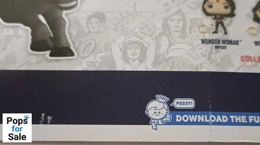 280 Wonder Woman on Pegasus - Rides - DC Wonder Woman 80th Anniversary Funko POP - Box Damaged