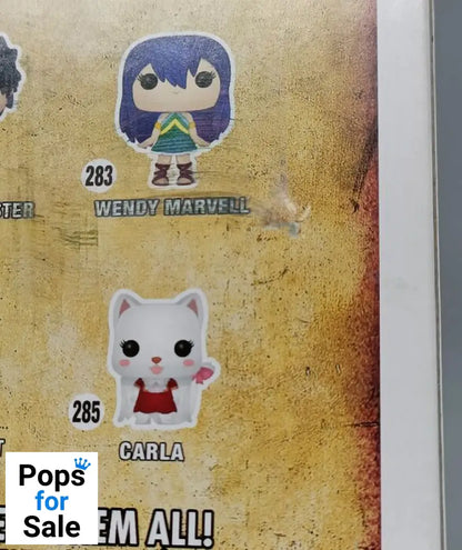 #282 Gray Fullbuster - Fairy Tail - Box Damaged Funko POP