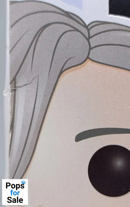 289 Victor - Yuri On Ice - Funko POP - Box Damaged