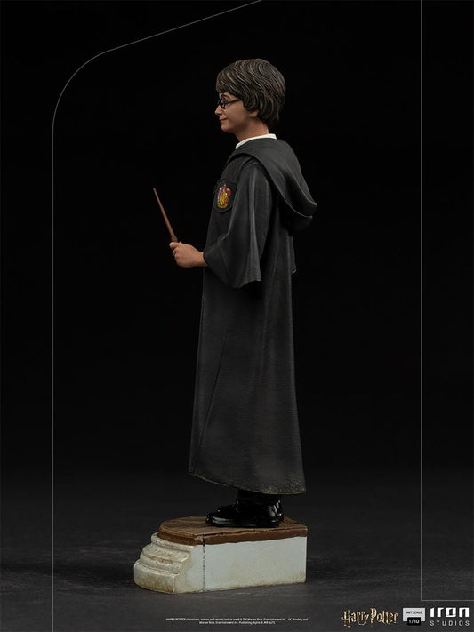Scale Figure 1/10 Harry Potter Scale Figures
