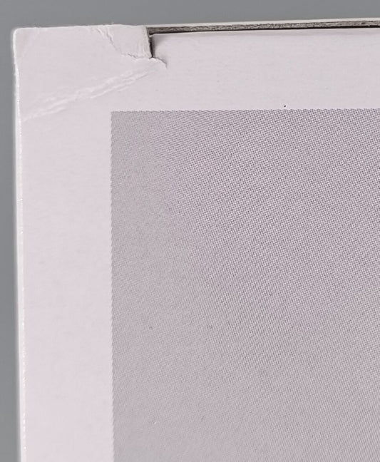 1387 Patamon - Digimon - Funko POP - Box Damaged