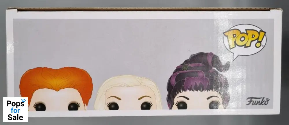 [3 Pack] The Sanderson Sisters (Flying) Disney Hocus Pocus Funko POP
