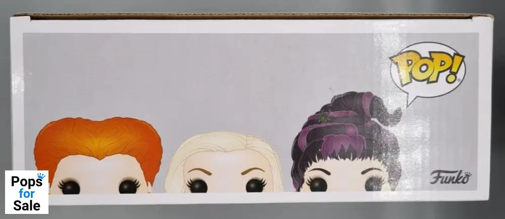 [3 Pack] The Sanderson Sisters (Flying) Disney Hocus Pocus Funko POP