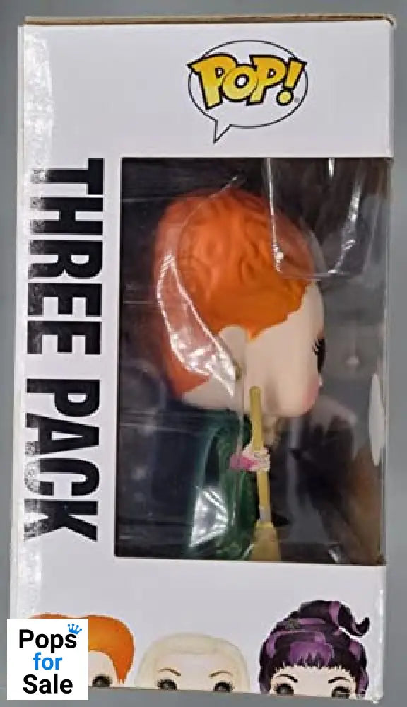 [3 Pack] The Sanderson Sisters (Flying) Disney Hocus Pocus Funko POP