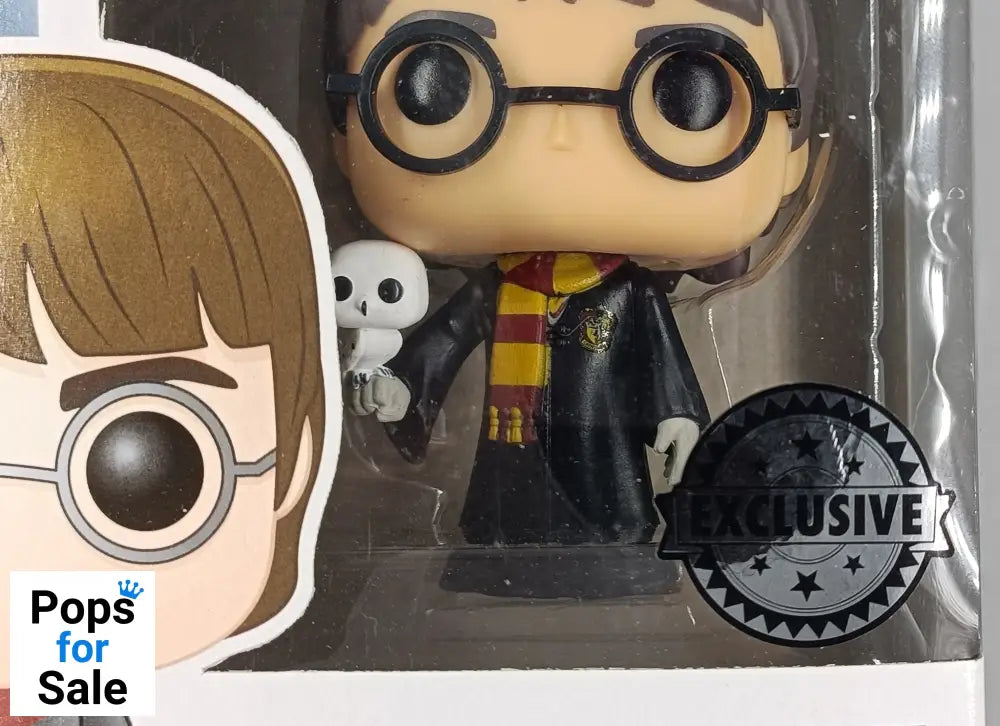 #31 Harry Potter (Robes w/ Hedwig) - Harry Potter Box Damaged Funko POP - PopsforSale.co.uk