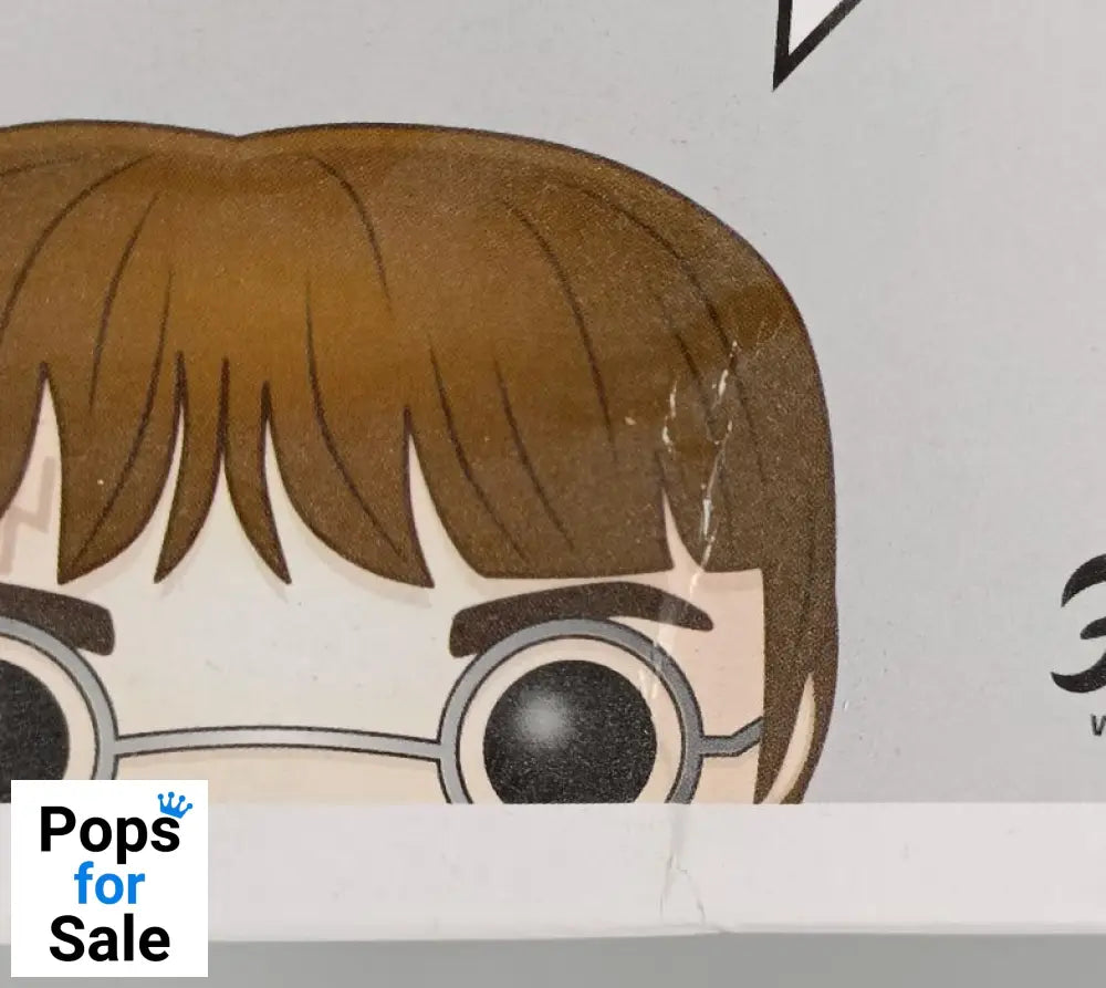 #32 Harry Potter (w/ Prophecy) - Harry Potter - Box Damaged Funko POP - PopsforSale.co.uk