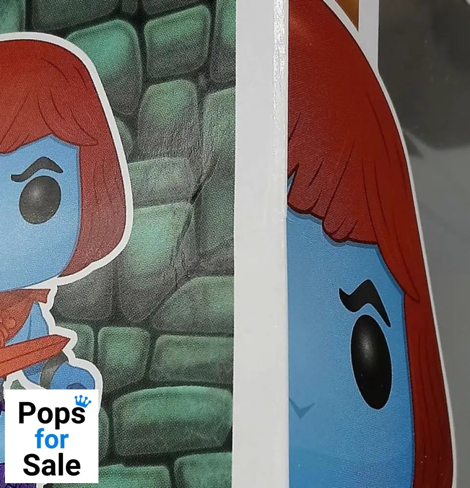 569 Faker - Masters Of The Universe - Box Damaged Funko POP