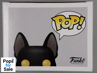 73 Sirius Black (as Dog) Flocked - Harry Potter Box Damaged Funko POP