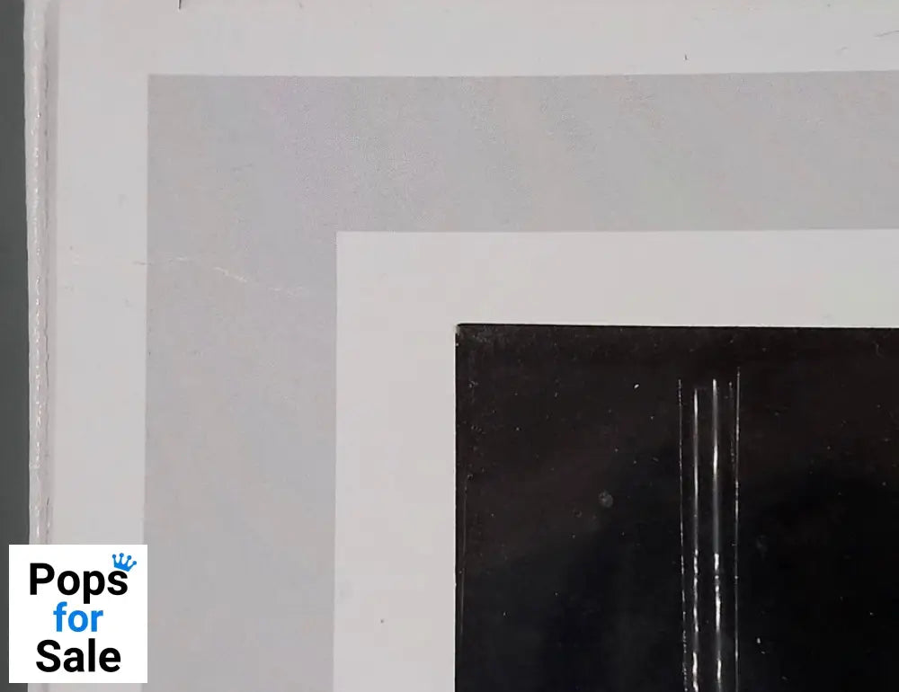 76 Mulan Riding Khan - Disney Mulan - Funko POP - Box Damaged