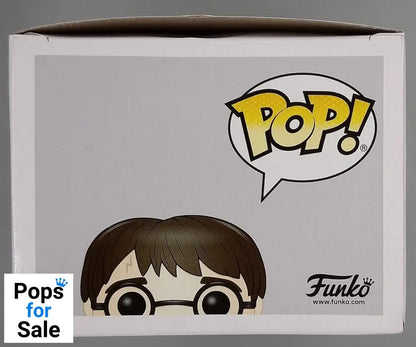 #79 Harry Potter (Broken Arm) - Harry Potter - Box Damaged Funko POP