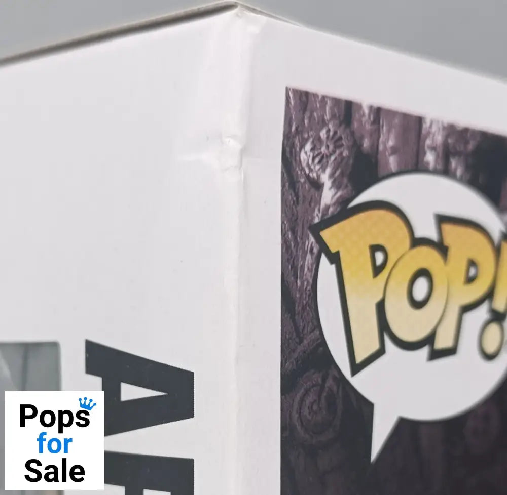 89 Arya Stark (Training) - Game of Thrones - Box Damaged Funko POP