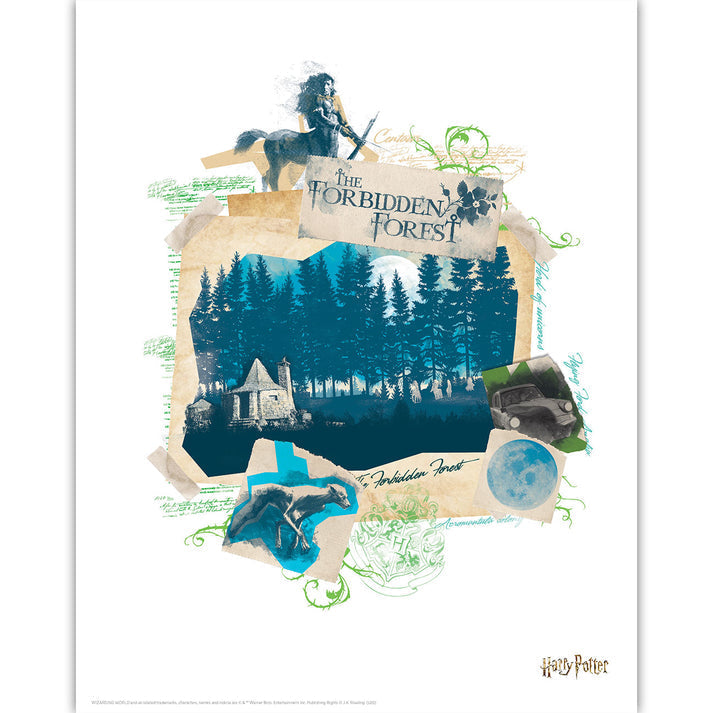 Harry Potter Limited Edition Lithograph Set Lithograph Set