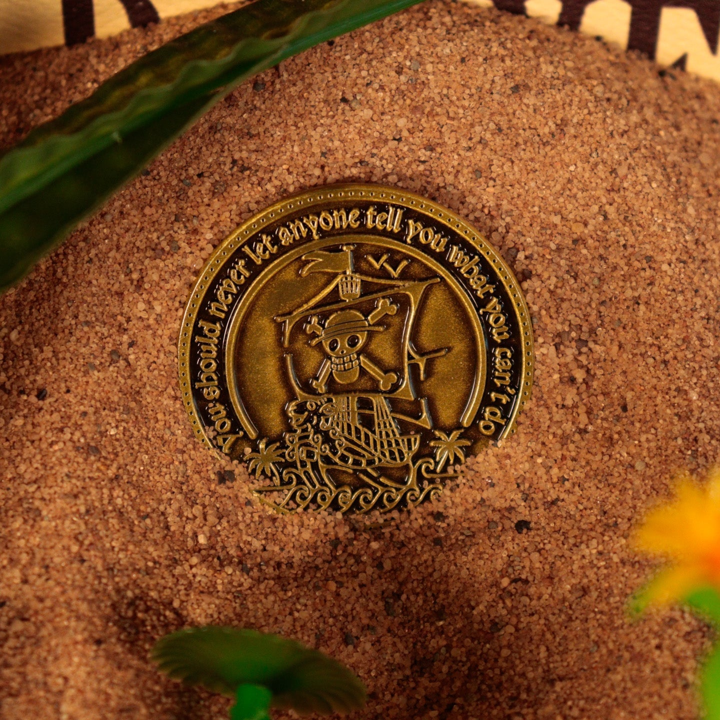One Piece Limited Edition Coin Coin