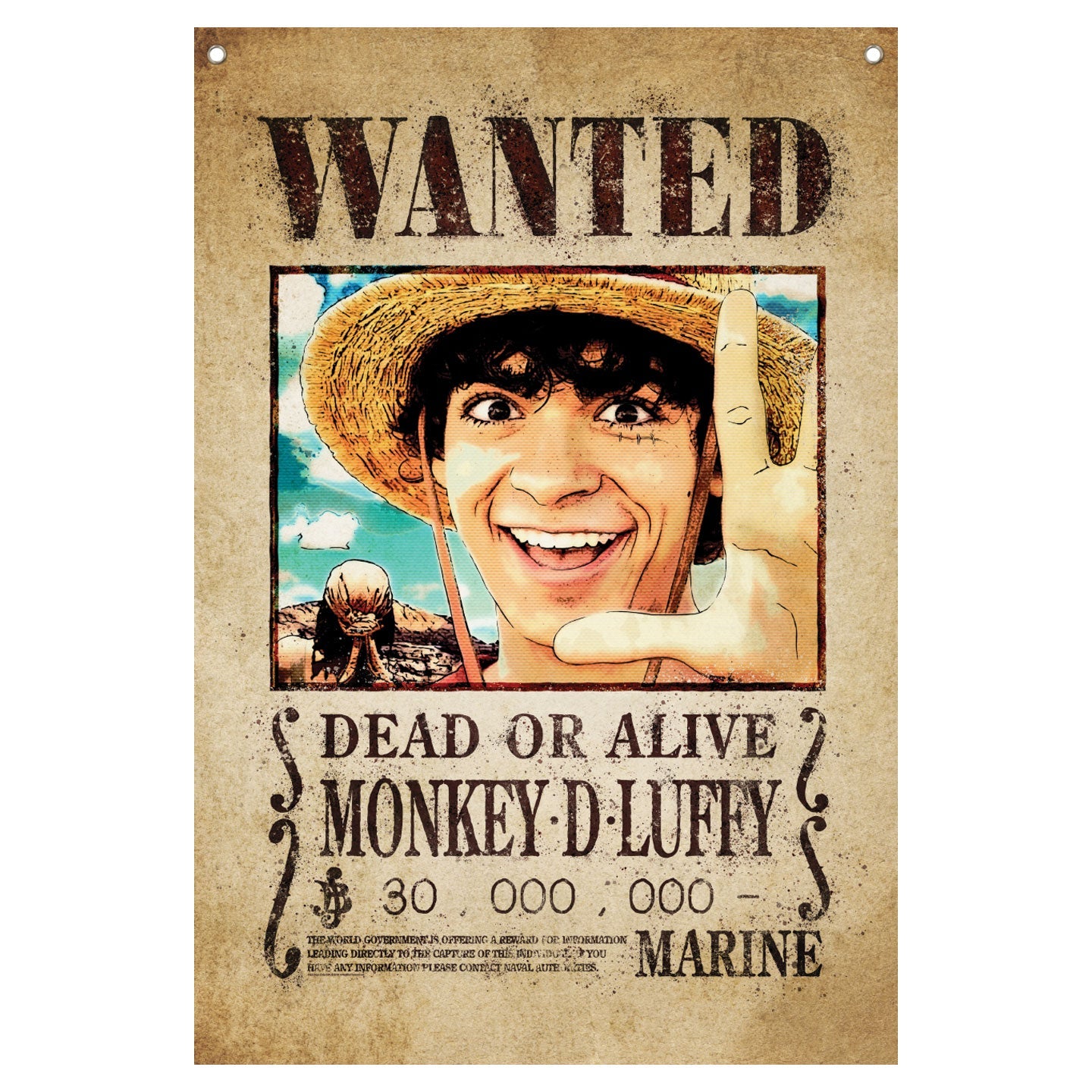 One Piece Wall Banner Wall Banner