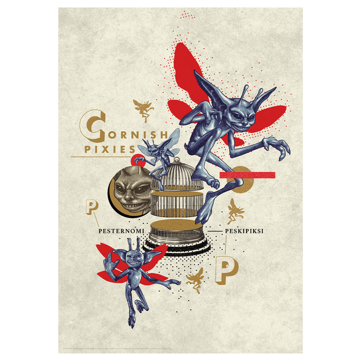 Harry Potter Limited Edition Pixies Art Print Wall Art