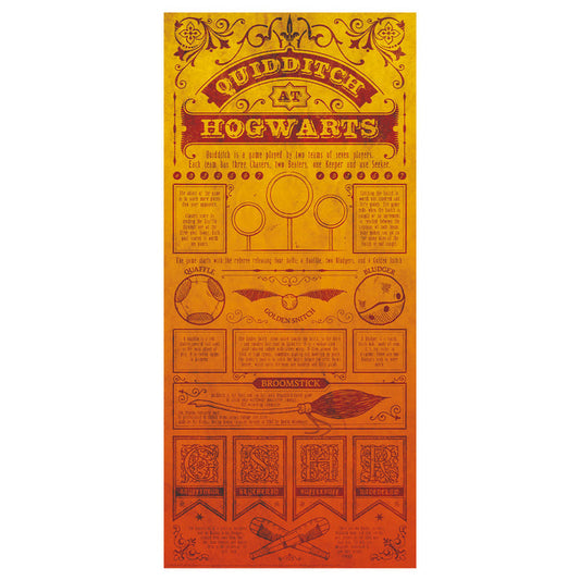 Harry Potter Limited Edition Quidditch Art Print Wall Art