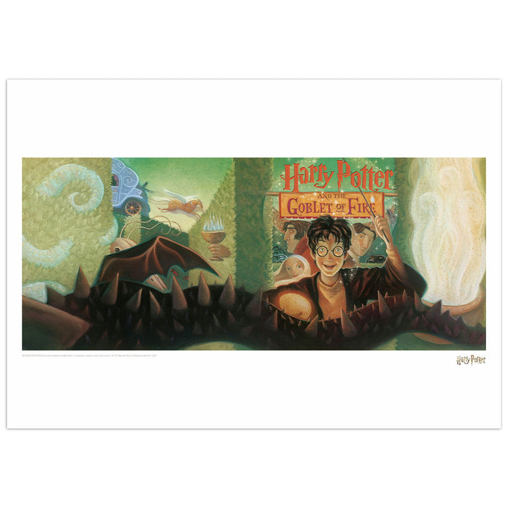 Harry Potter & the Goblet of Fire Book Cover Artwork Limited Edition Art Print Wall Art