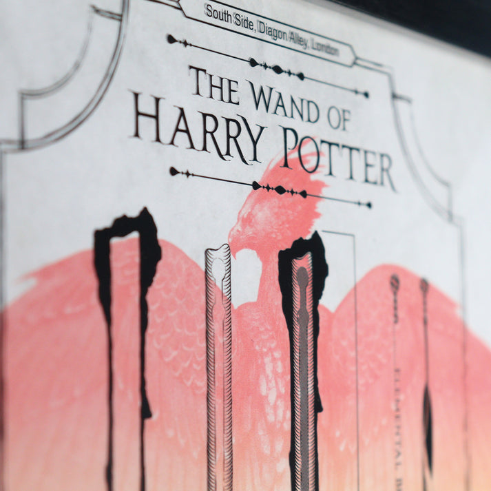 Harry Potter Limited Edition Fan-Cel Fan-Cel