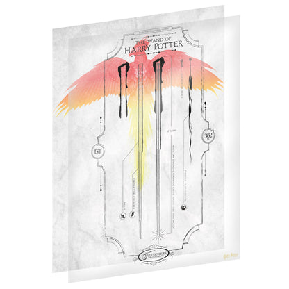 Harry Potter Limited Edition Fan-Cel Fan-Cel