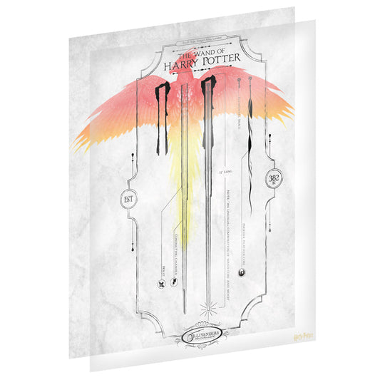 Harry Potter Limited Edition Fan-Cel Fan-Cel