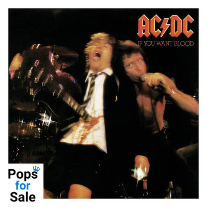 AC/DC Rock Saws Jigsaw Puzzle If You Want Blood (500 pieces)