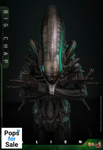 Alien Movie Masterpiece Action Figure 1/6 Big Chap 36 cm Action figures