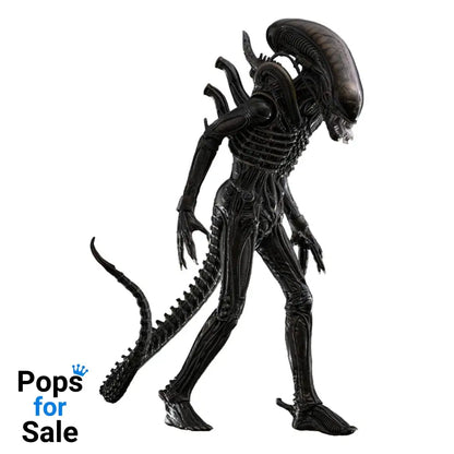 Alien Movie Masterpiece Action Figure 1/6 Big Chap 36 cm Action figures