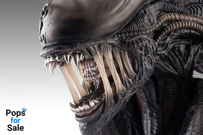 Alien Romulus Bust 1/1 Xenomorph 53 cm
