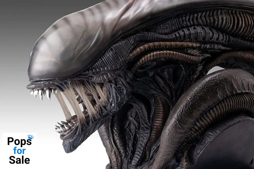 Alien Romulus Bust 1/1 Xenomorph 53 cm