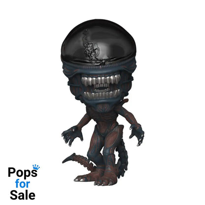 Aliens Romulus Super Sized POP! Animation Vinyl Figure Scorched Xenomorph 15 cm POP! Figures