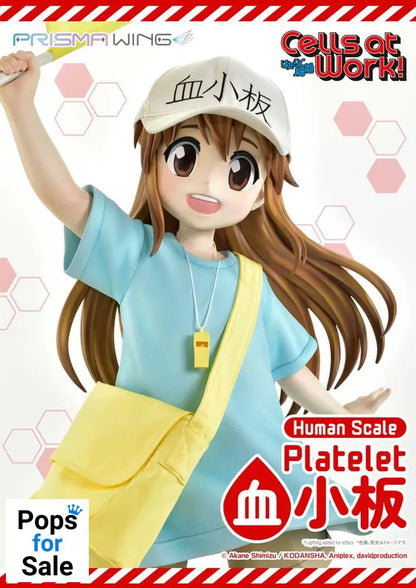 Cells at Work! Life Scale Masterline Series Statue Platelet 100 cm