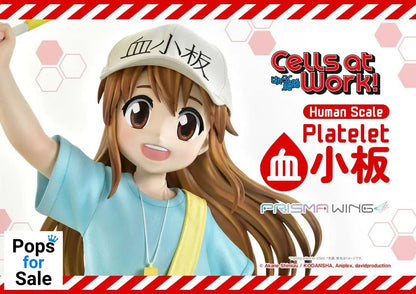 Cells at Work! Life Scale Masterline Series Statue Platelet 100 cm