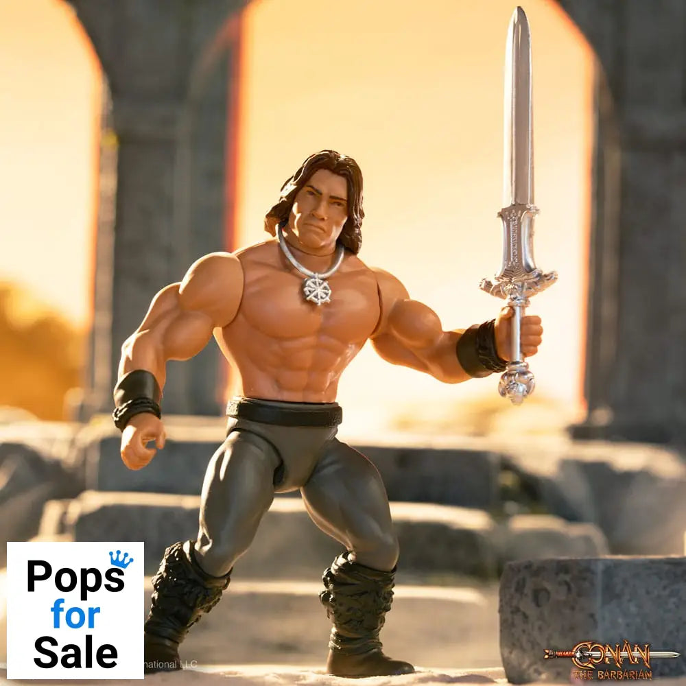 Conan the Barbarian 1982 Vintage Collection Action Figure Wave 1 Conan 14 cm