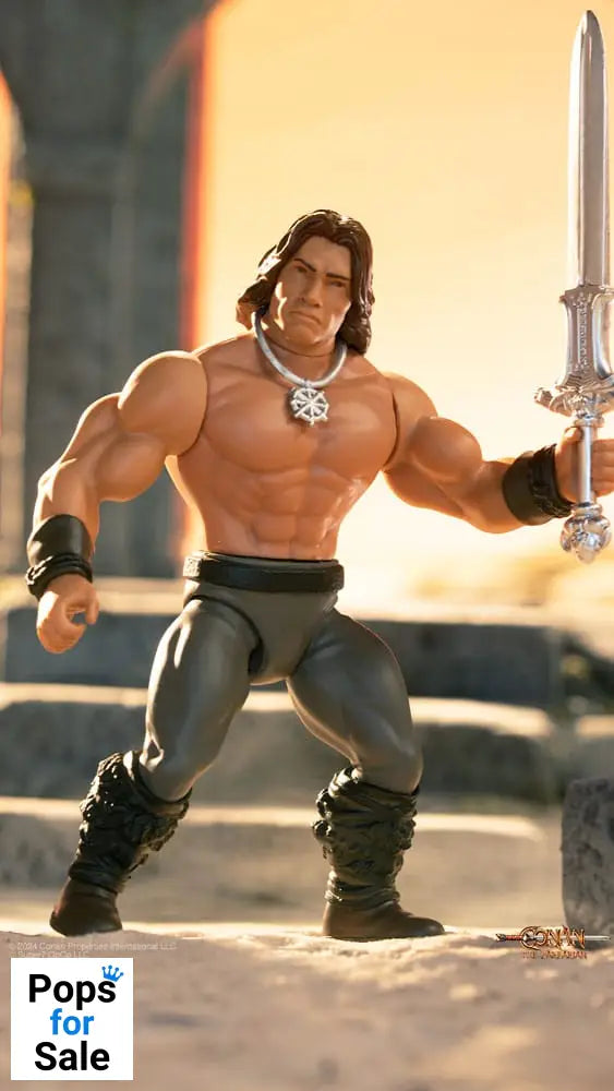 Conan the Barbarian 1982 Vintage Collection Action Figure Wave 1 Conan 14 cm