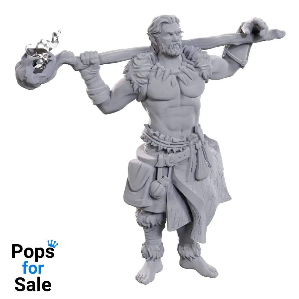 D&D Nolzur's Marvelous Miniatures Unpainted Miniatures 2-Pack Archdruid & Martial Arts Adept