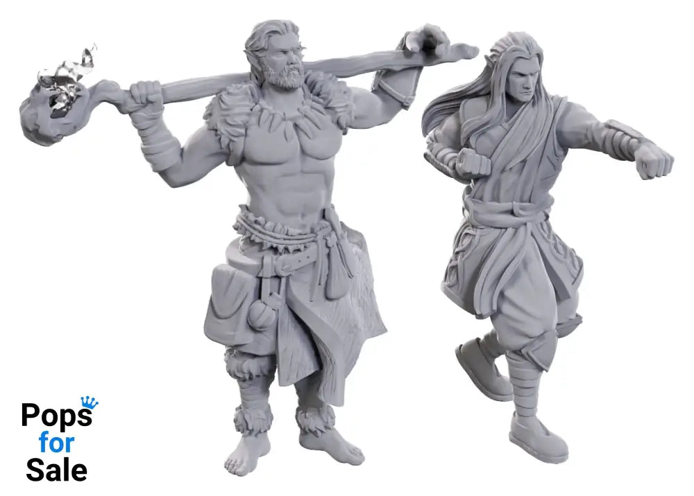 D&D Nolzur’s Marvelous Miniatures Unpainted Miniatures 2-Pack Archdruid & Martial Arts Adept Miniature Gaming & Tabletop