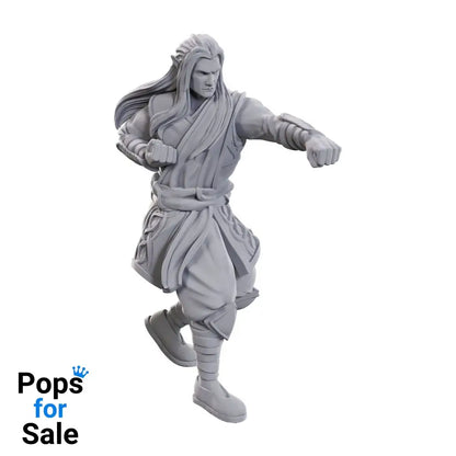 D&D Nolzur’s Marvelous Miniatures Unpainted Miniatures 2-Pack Archdruid & Martial Arts Adept Miniature Gaming & Tabletop