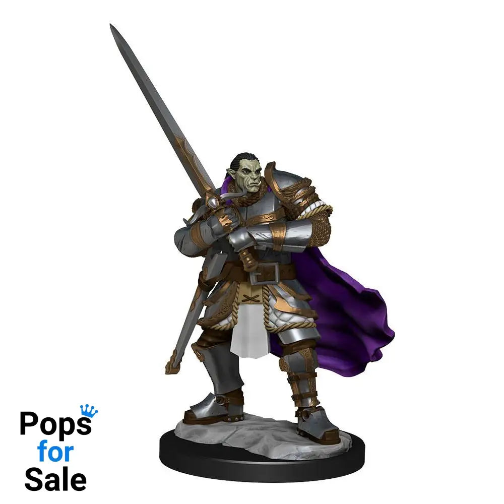 D&D Nolzur's Marvelous Miniatures Unpainted Miniatures Half-Orc Paladin Male Case (2)