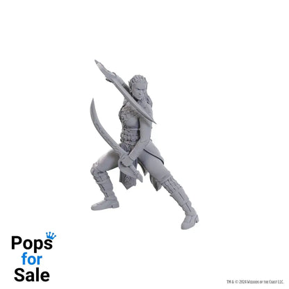 D&D Nolzur's Marvelous Miniatures Unpainted Miniature Jaheira & Halsin