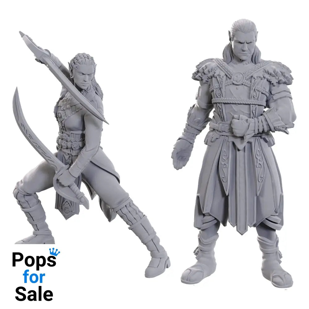 D&D Nolzur's Marvelous Miniatures Unpainted Miniature Jaheira & Halsin