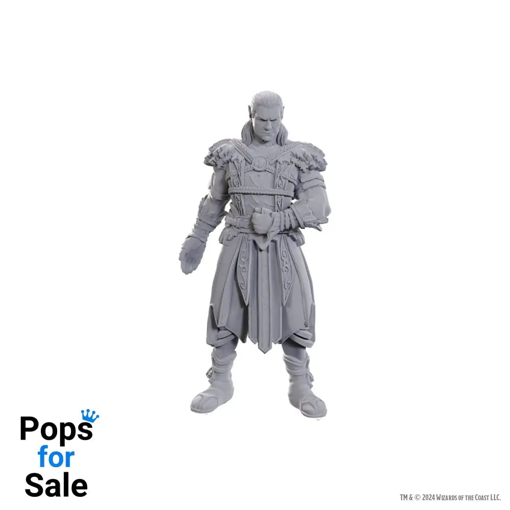 D&D Nolzur's Marvelous Miniatures Unpainted Miniature Jaheira & Halsin