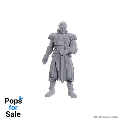 D&D Nolzur's Marvelous Miniatures Unpainted Miniature Jaheira & Halsin