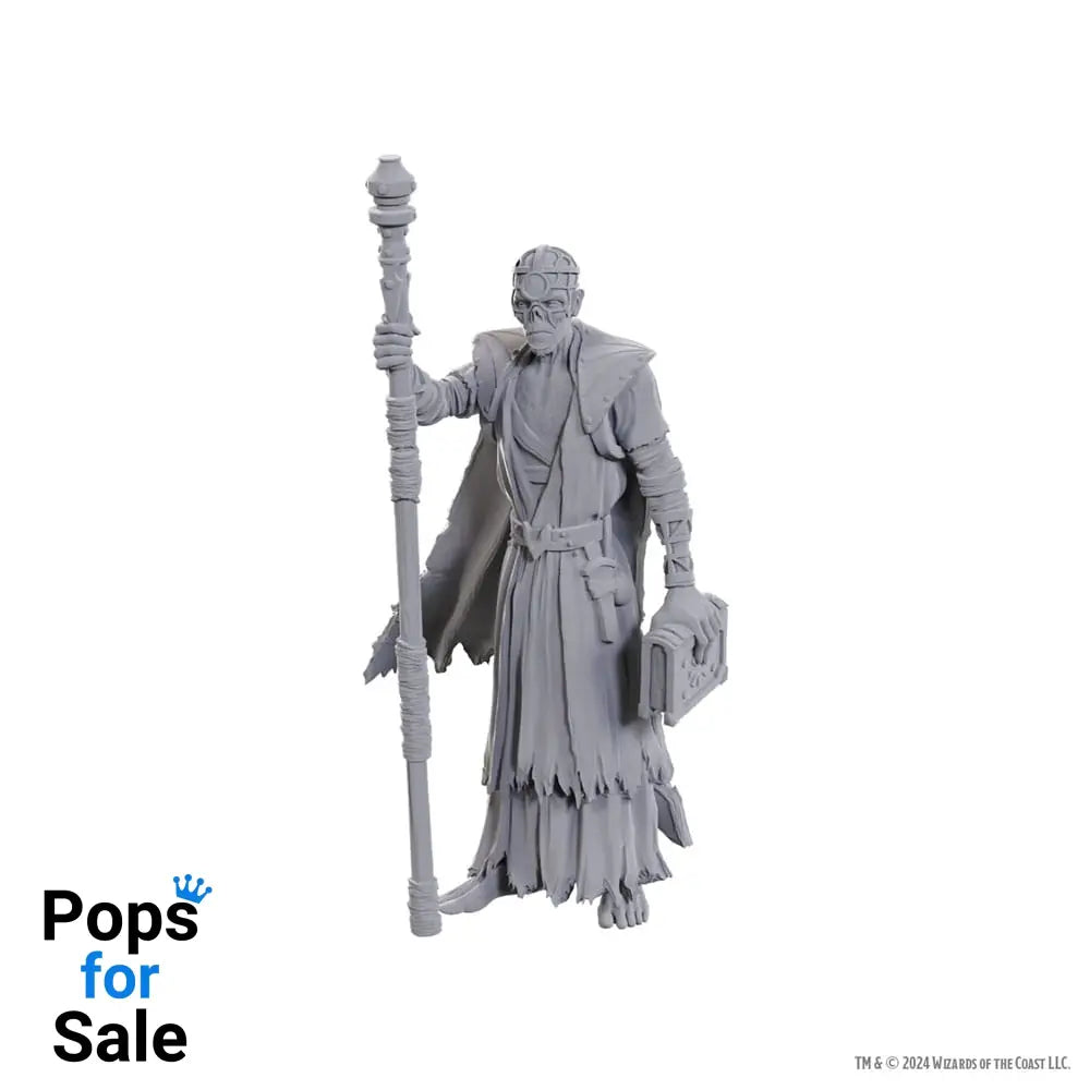 D&D Nolzur's Marvelous Miniatures Unpainted Miniature Volo & Withers