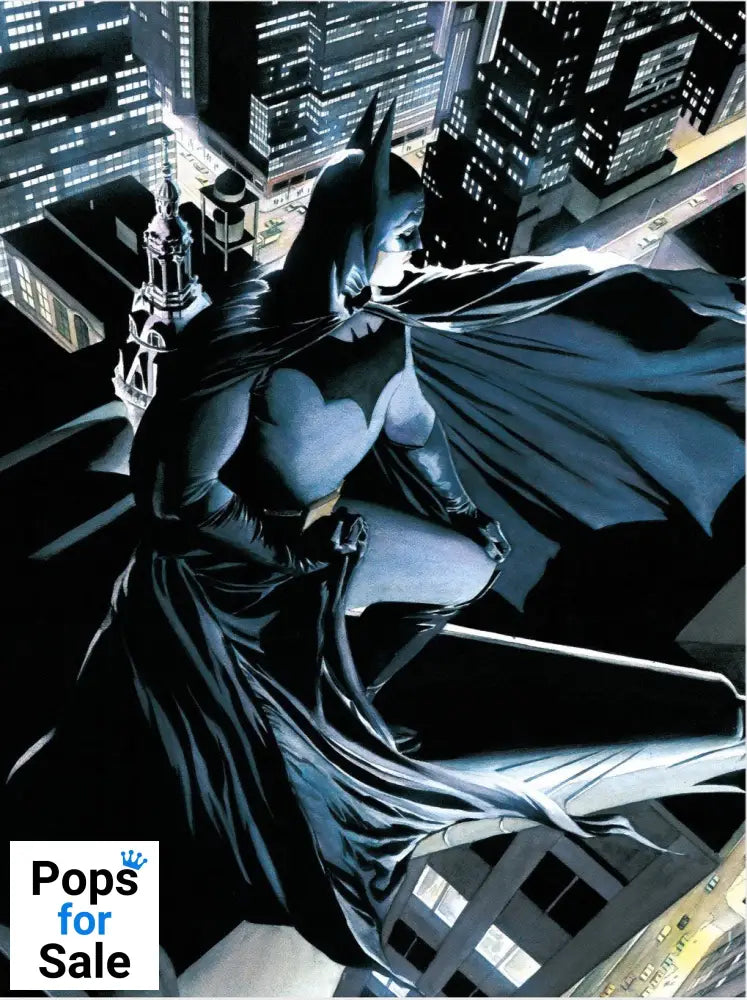 DC Comics Glass Poster Batman Watcher 30 x 40 cm Posters & Wallscrolls