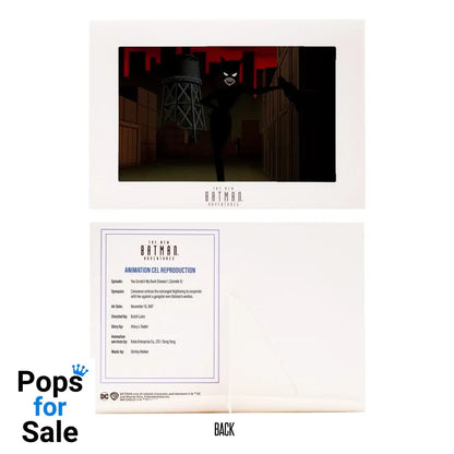 DC Direct Action Figure The New Batman Adventures Catwoman 15 cm