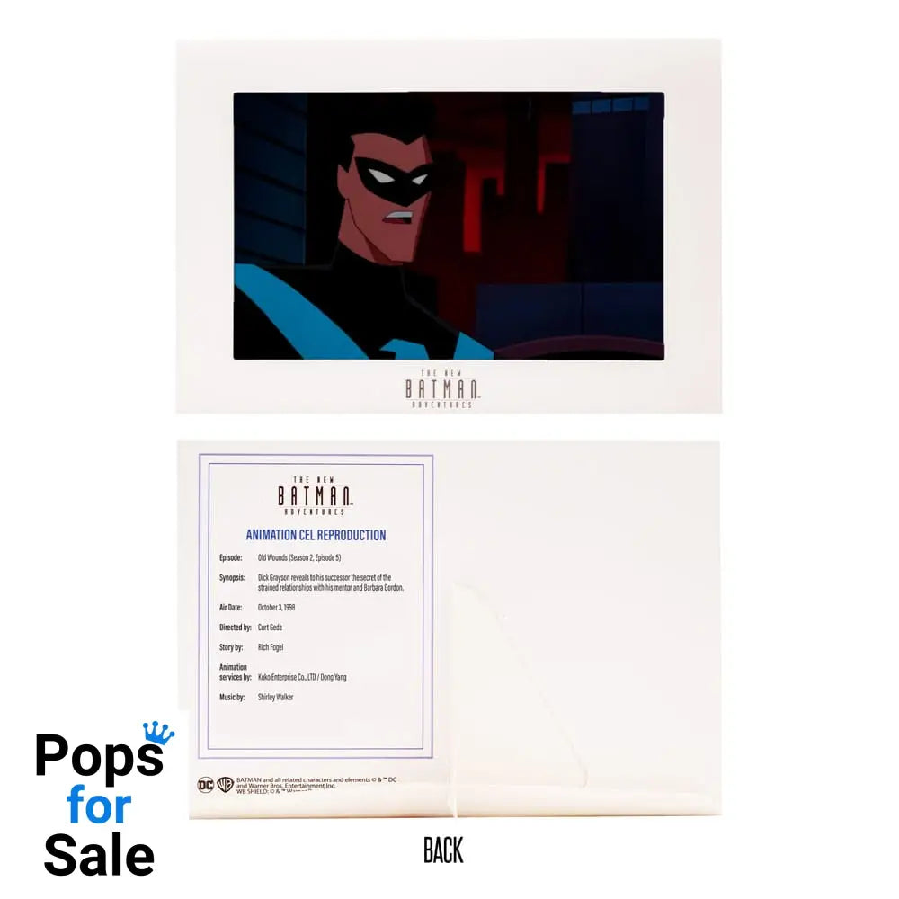 DC Direct Action Figure The New Batman Adventures Nightwing 15 cm Action figures