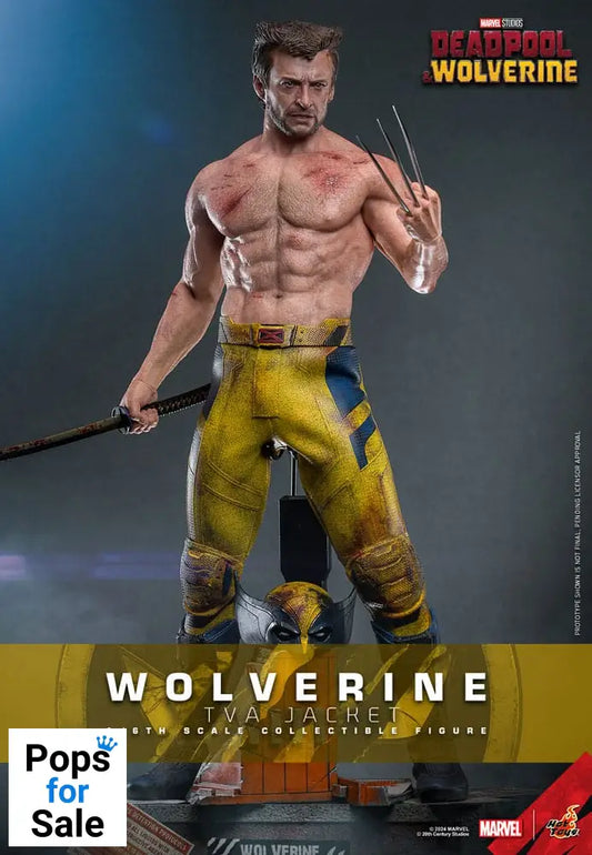 Deadpool & Wolverine Movie Masterpiece Action Figure 1/6 Wolverine (TVA Jacket Version) 31 cm